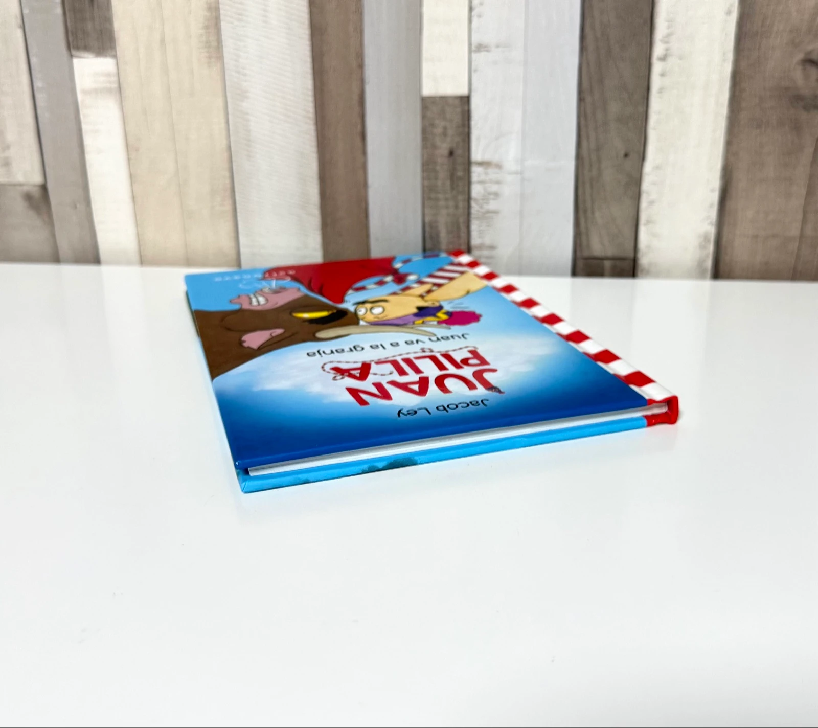 Book Juan goes to the farm – photo 8